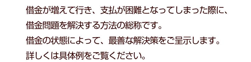 借金が増えて行き、支払が困難となってしまった際に、借金問題を解決する方法の総称です。借金の状態によって、最善な解決策をご呈示します。詳しくは具体例をご覧ください。